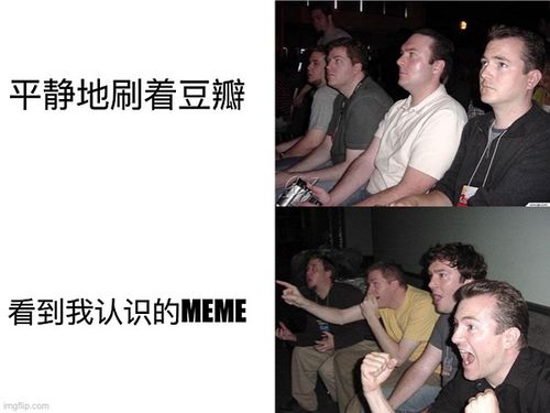 meme百科