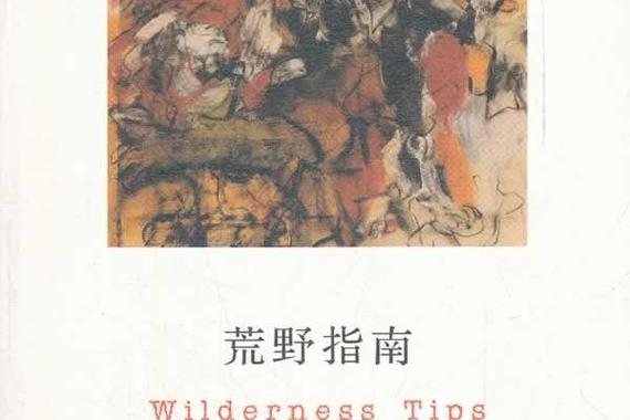 荒野之息小地图怎么开