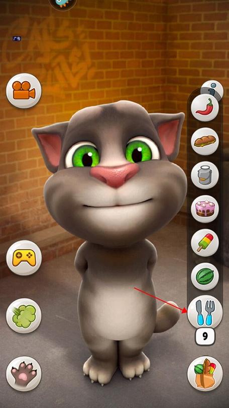 会说话的汤姆猫旧版本下载