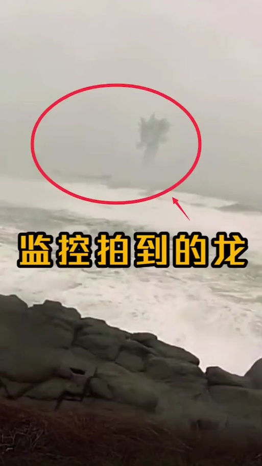 龙拍到的真实照片