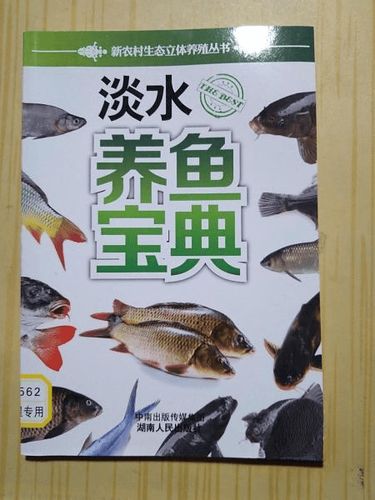 养什么鱼不用换水