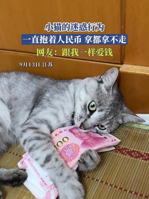 拿别人猫为什么要给钱