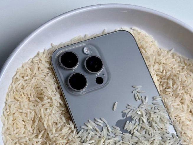 手机大米吸水多久