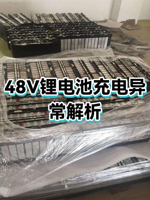48v锂电池充不进电怎么修复