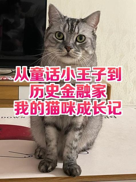 猫咪成长记赚钱缩略图