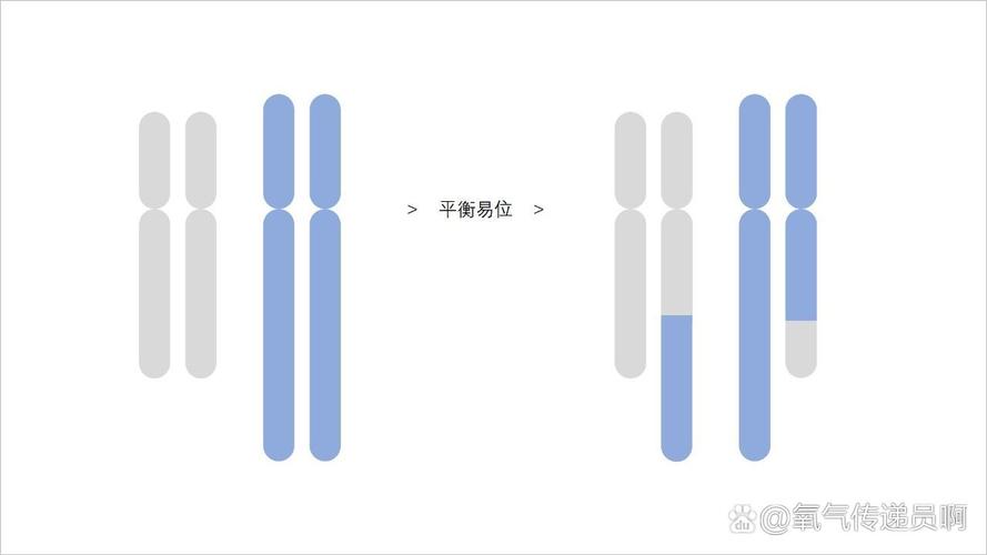 易位解释