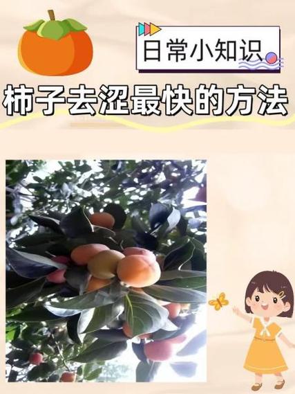 柿子去涩最简单的方法