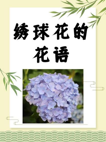 我的送花记录