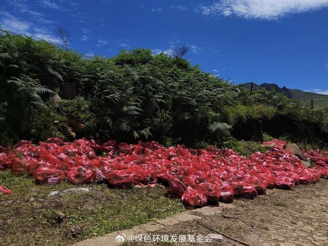 蚂蚁森林浇多少水才能长成树