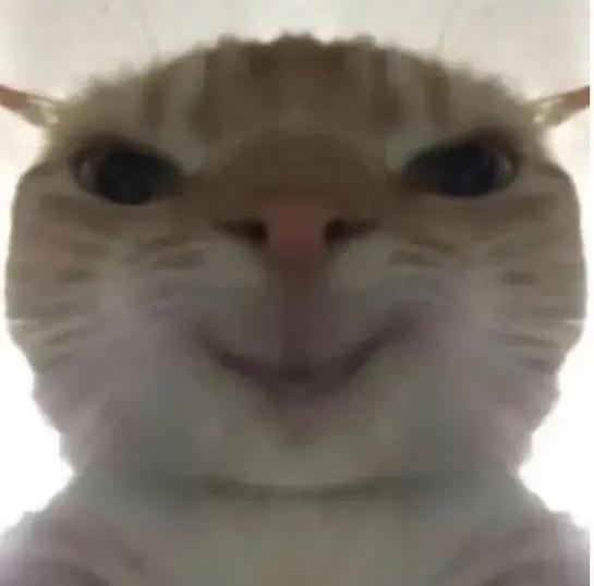 猫头表情包