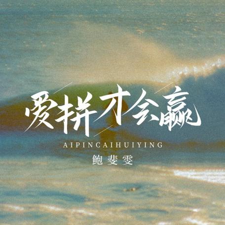 爱拼才会赢完整版