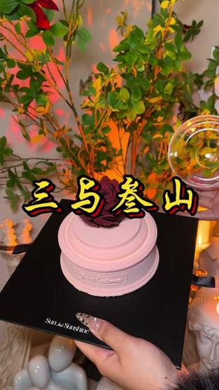 三叁的寓意和象征截图