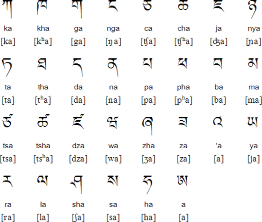 藏文字典tibetan