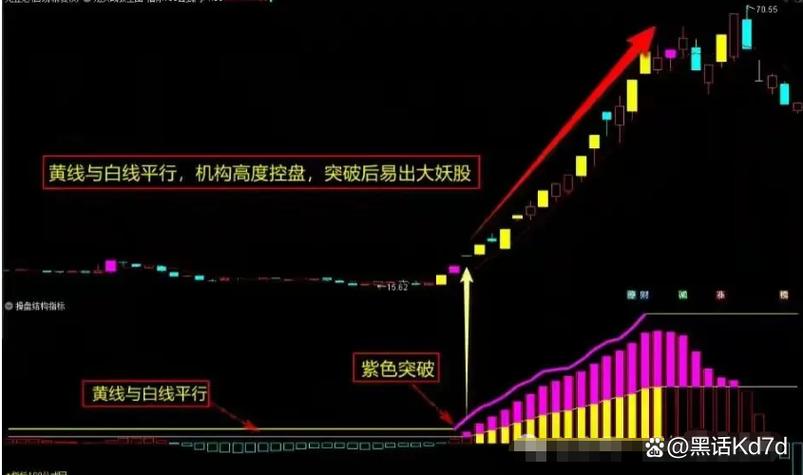 机构分时副图源码公式
