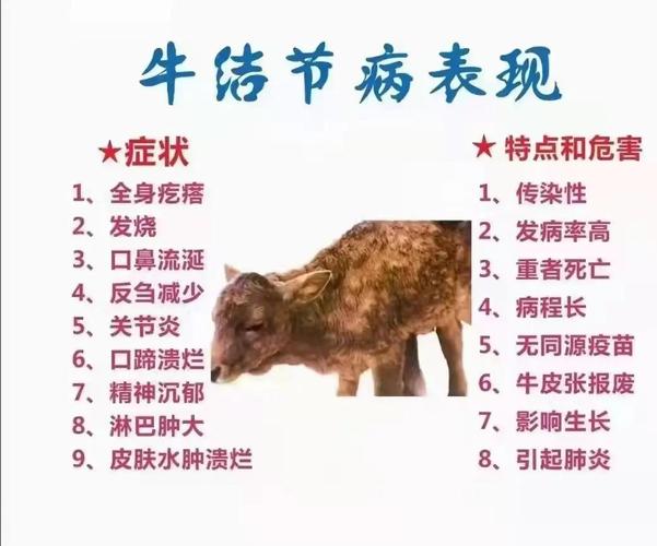 犇牛病毒怎么感染的