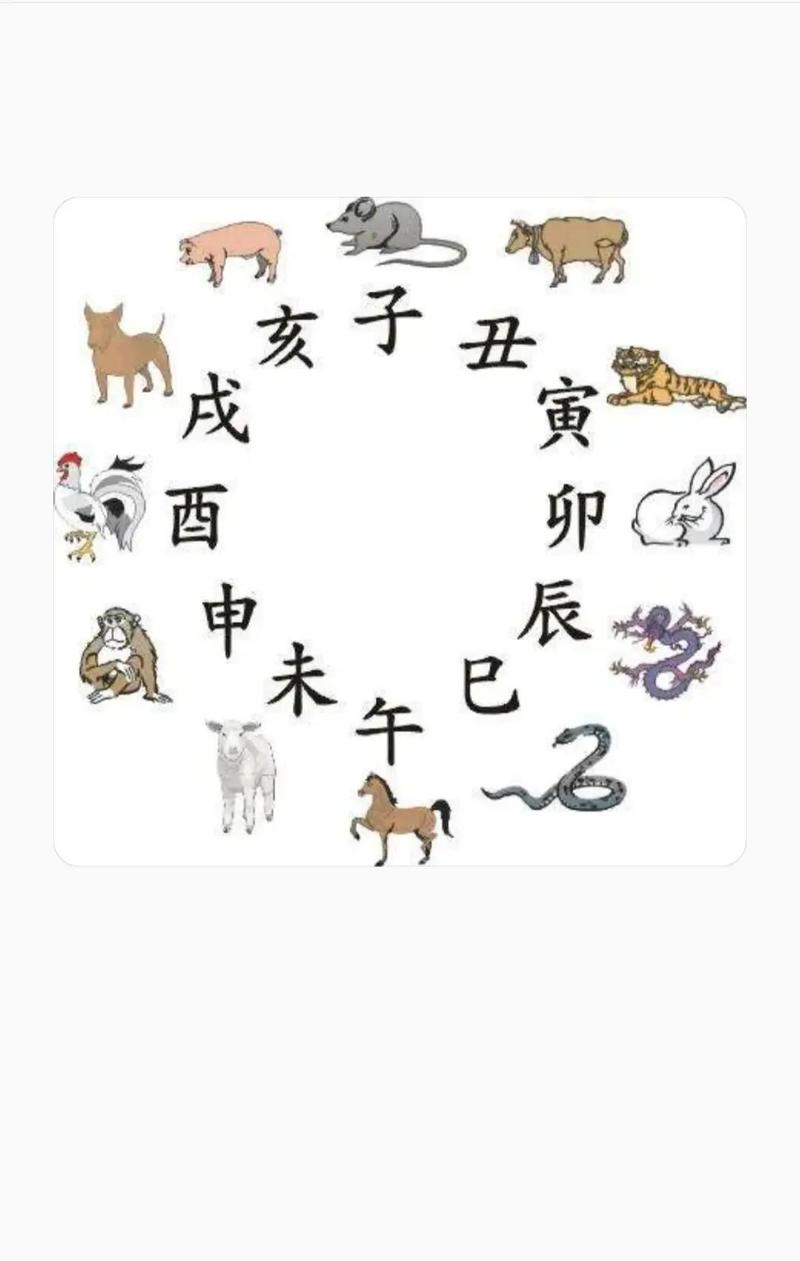 20026生肖卡正版