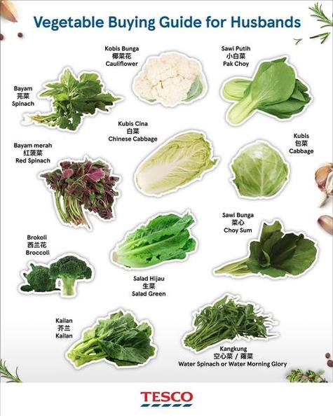 菜种类大全100种缩略图