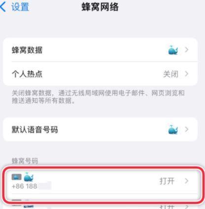 怎么把苹果打电话从主号改到副号