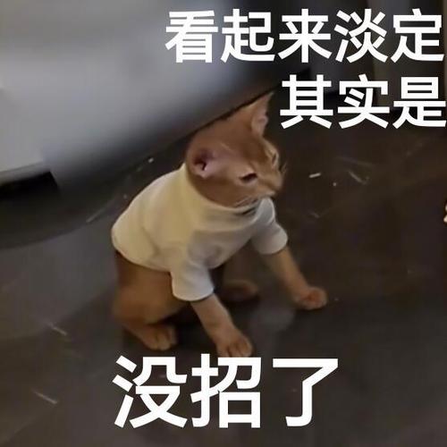 以后请叫我敢敢表情包