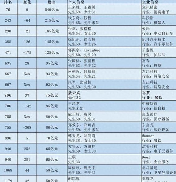85后白手起家富豪榜