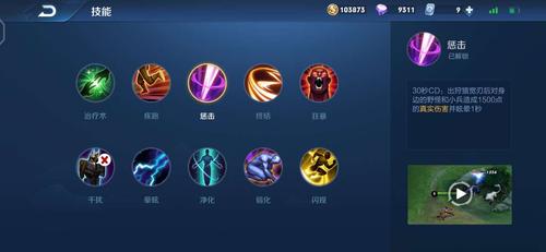 王者惩戒