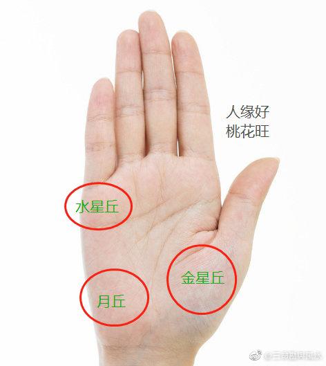 男性手掌三丘凸起图