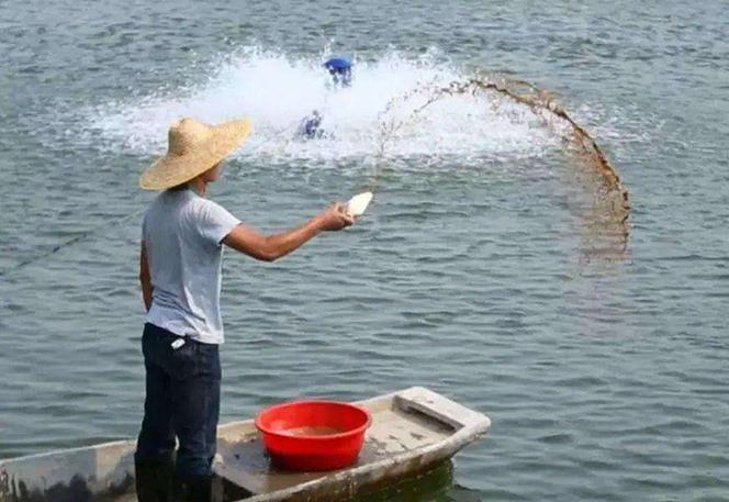 那一汪肥水的流淌消逝的背影热门