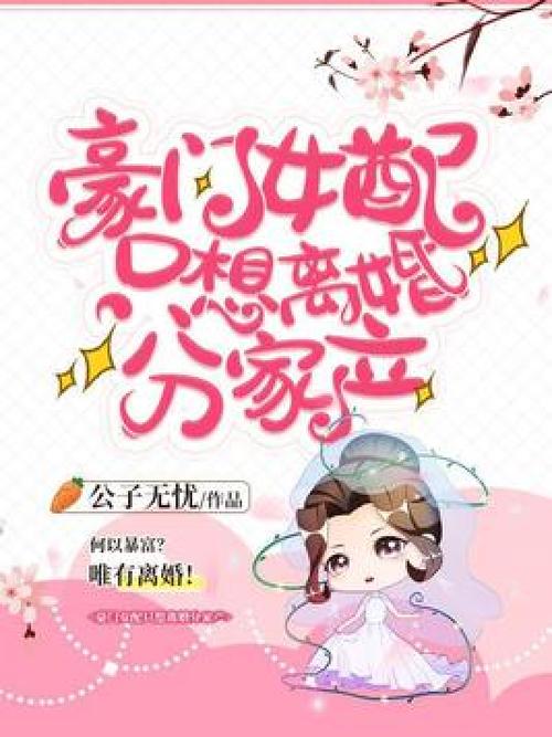 主人公林无忧的小说