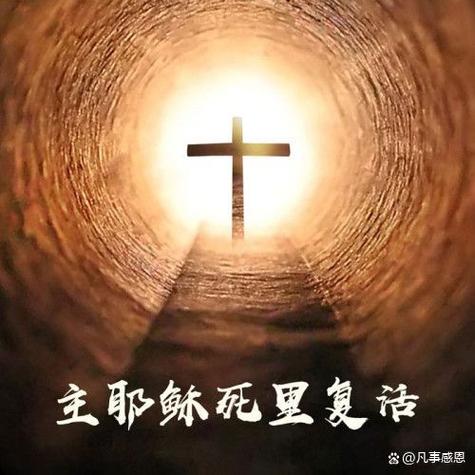 陌陌无法访问照片