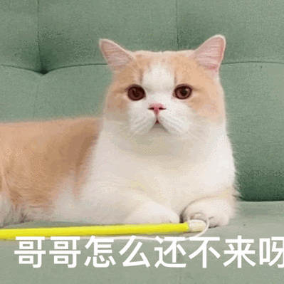 抖音上的趣图