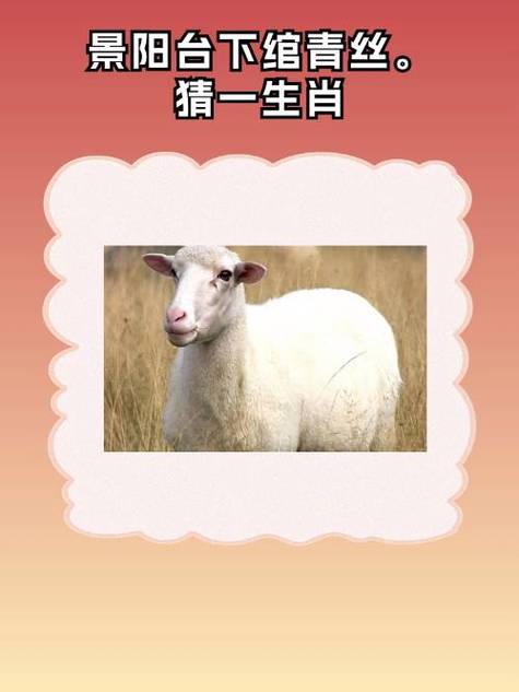 从人旁一个羊念什么字缩略图