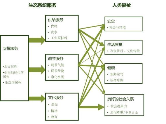 生态包括哪些游戏截图