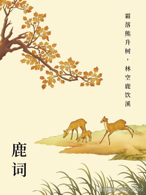 鹿的禅意唯美句子