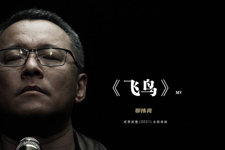 飞鸟视频在哪个电视应用下载