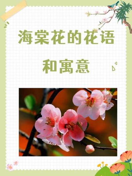 海棠的意思