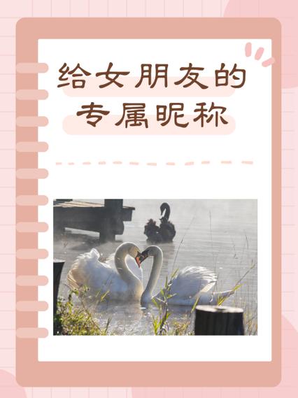 女女女女女女女女女分别代表什么