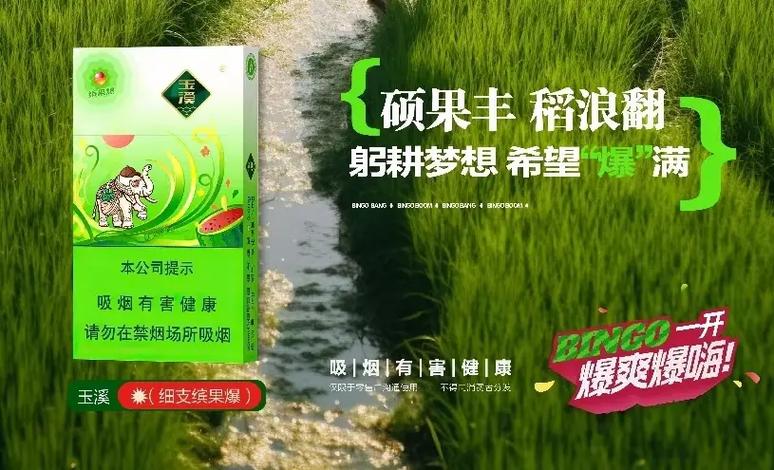 好客爆珠多少钱一包烟