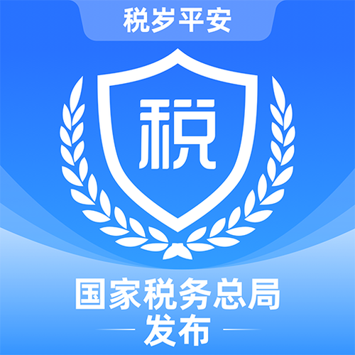 税务软件