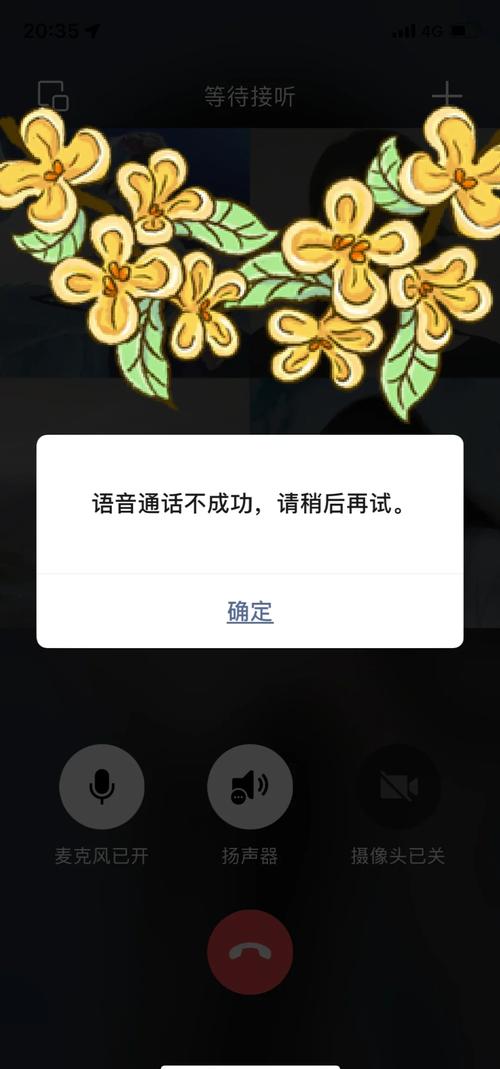 一拨过去就白屏,对方打过来没有声音