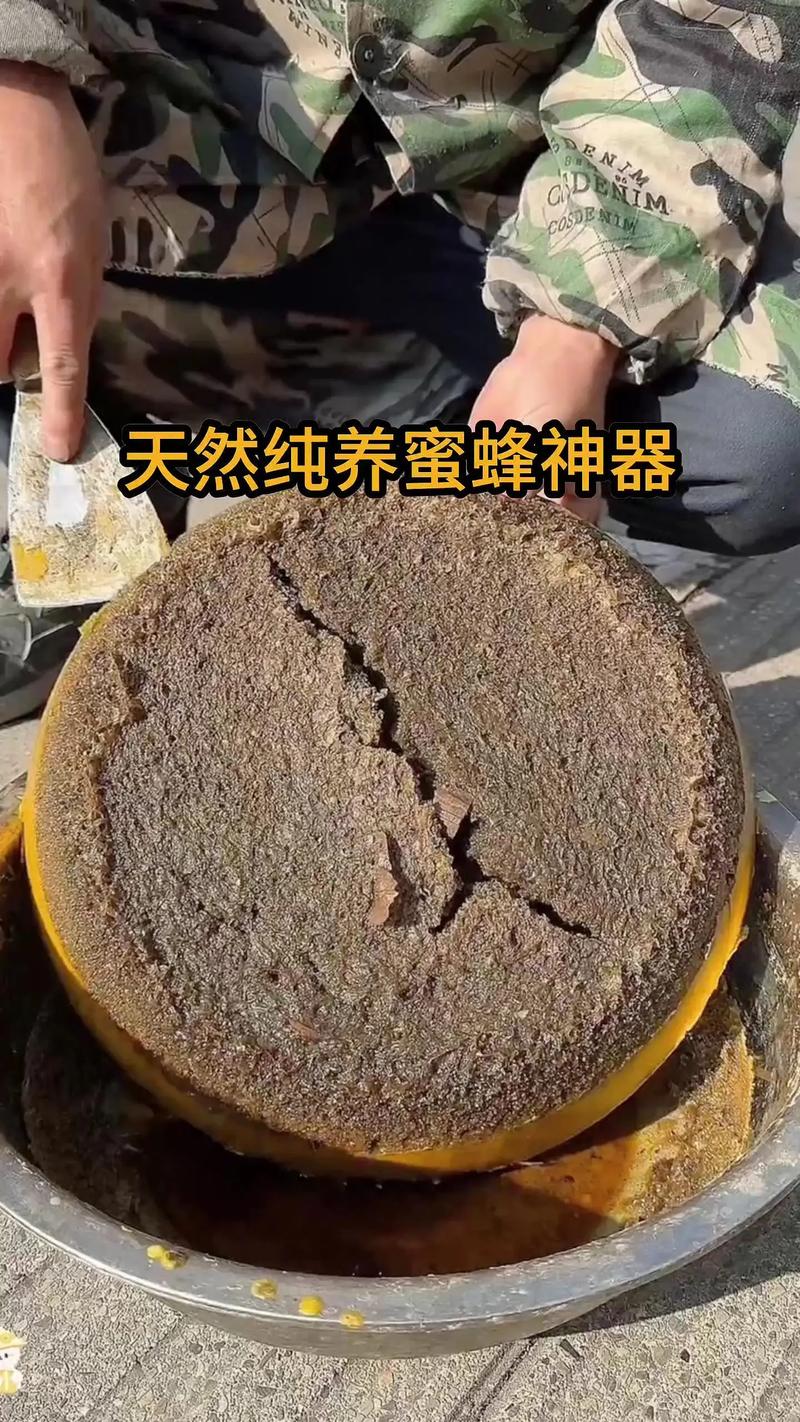 诱蜂蜡真的能诱蜂吗