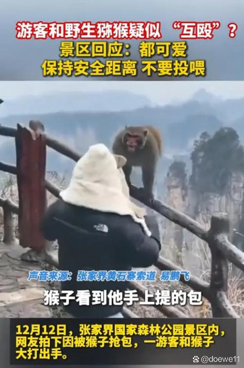 猴子美化包不封号