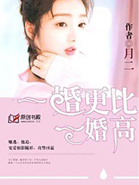 一婚还比一婚高免费阅读