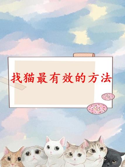 找猫最有效的方法