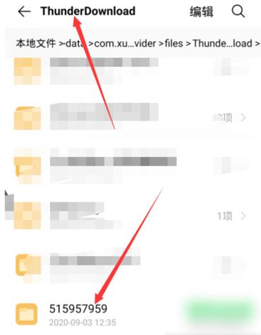 如何将手机迅雷下载的文件转移出去