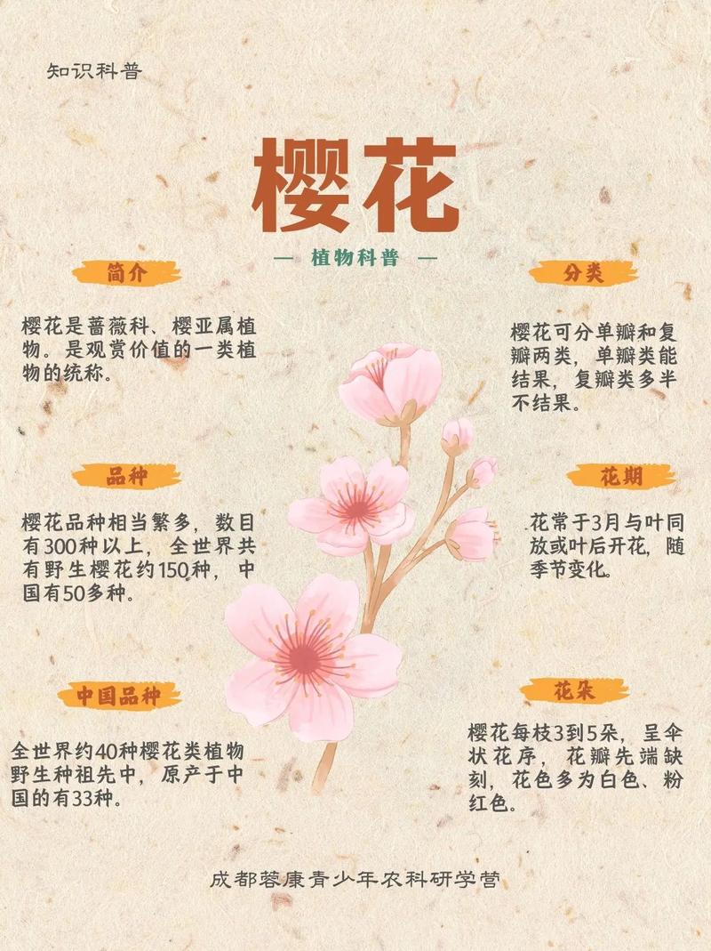 樱花的学名