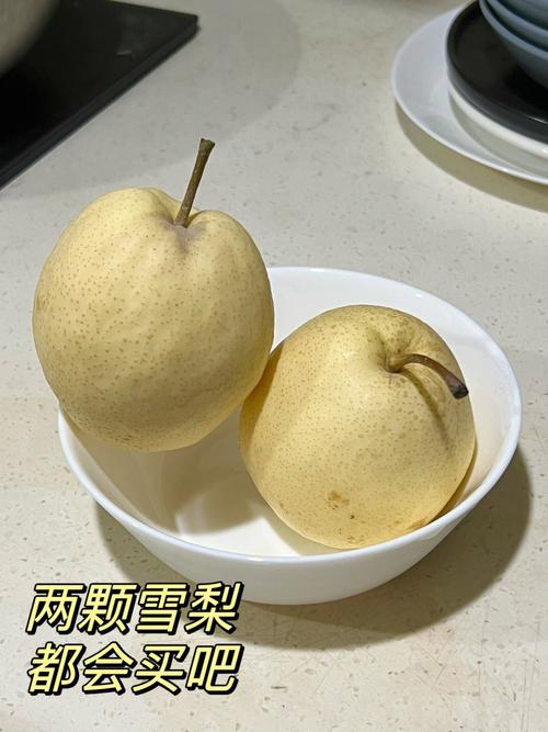 快转赚和雪梨网哪个好缩略图