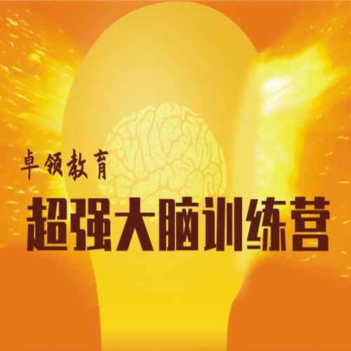 最强大脑属于正规培训机构吗