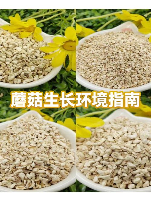 蘑菇的生长环境主要是什么