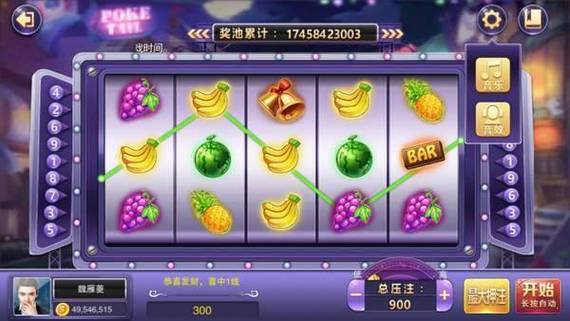 吉林福彩水果乐园玩法