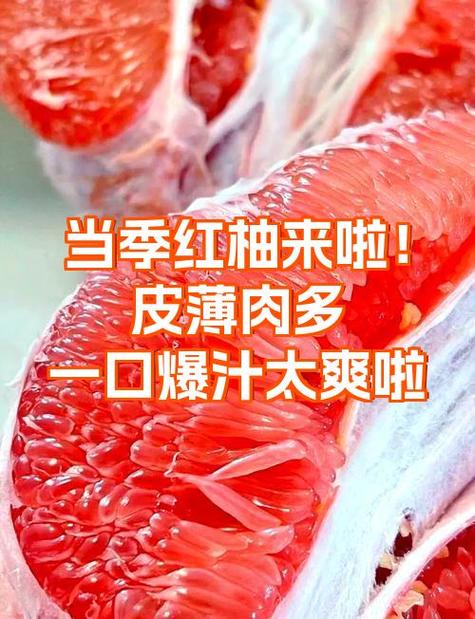 红柚刚刚好小说全文免费阅读